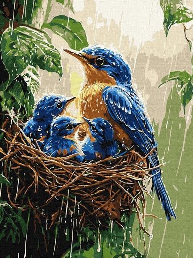 Ideyka, malowanie po numerach, Wiosenny deszcz, 30-40 cm