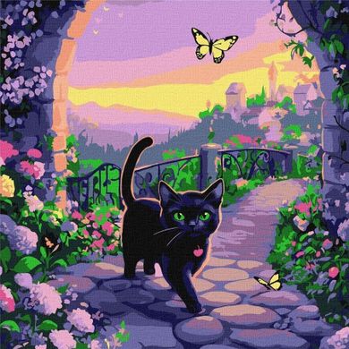 Ideyka, malowanie po numerach, Wróżkowy kot, 40-40 cm