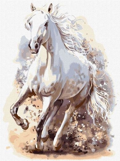 Ideyka, malowanie po numerach, Wyrafinowana moc, 30-40 cm