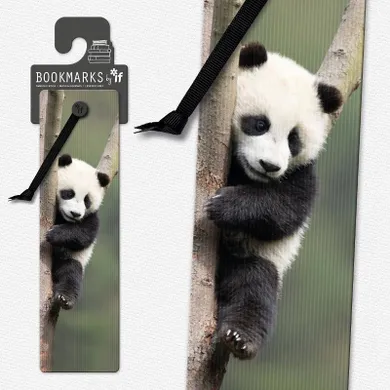 If, zakładka do książki, 3D, Panda
