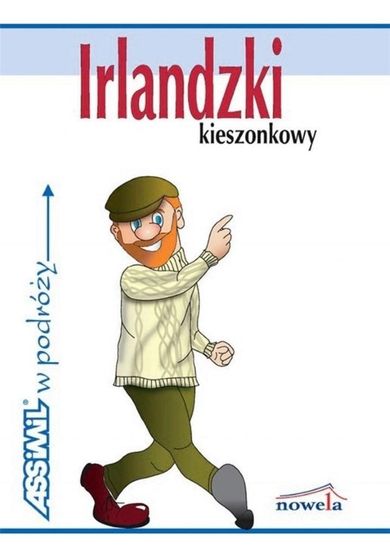 Irlandzki kieszonkowy w podróży