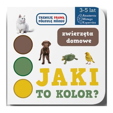 Jaki to kolor? Zwierzęta domowe