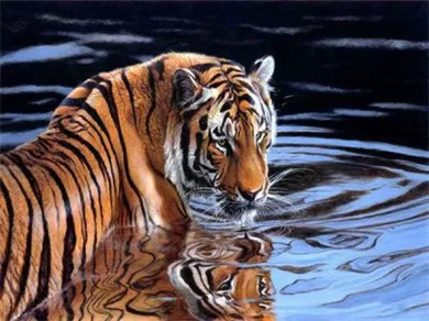 Ju-piter, mozaika diamentowa, tygrys w wodzie