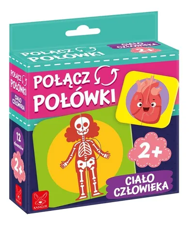 Kangur, Połącz Połówki, Ciało Człowieka, gra edukacyjna