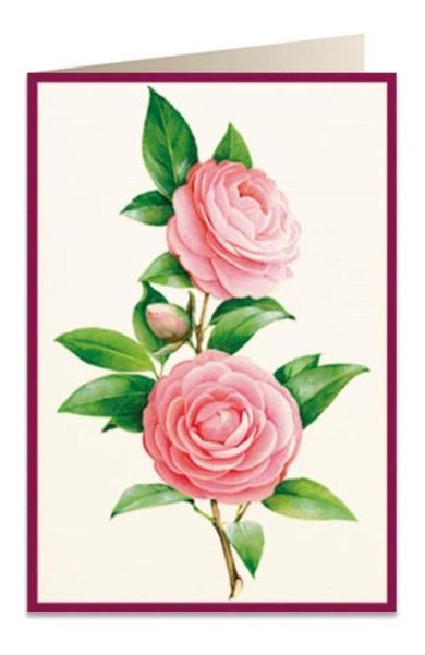 Karnet B6, + koperta, Kamelia 2