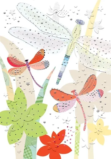 Karnet B6 + koperta, ważki