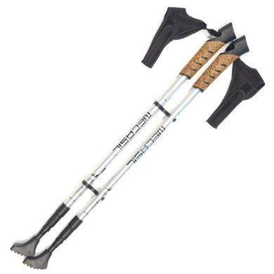 Kijki do nordic walking, srebrne