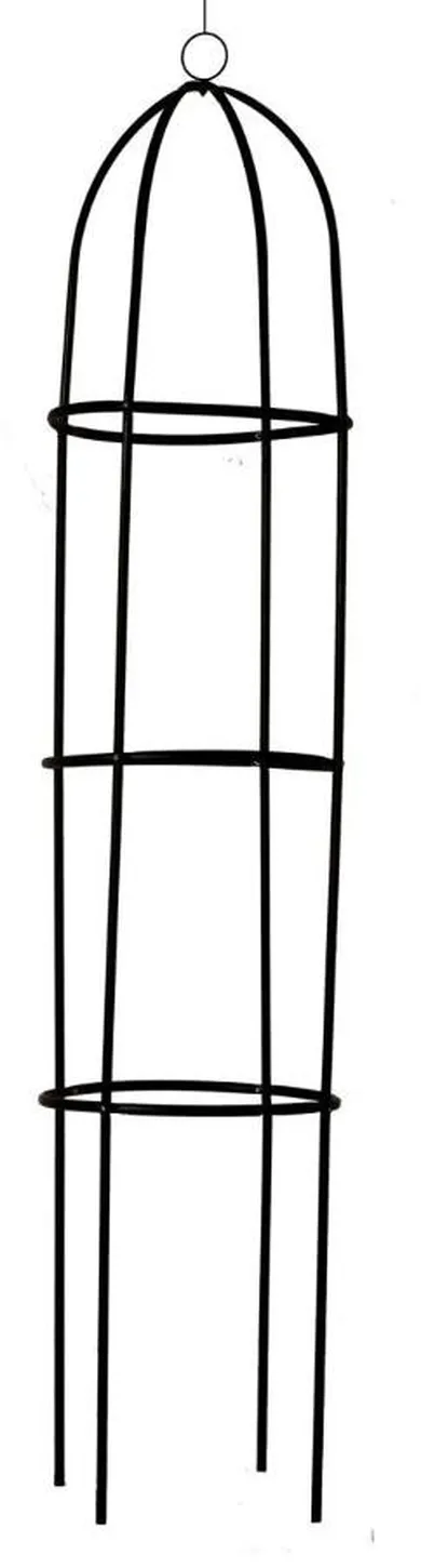 Kinzo, kolumna na róże