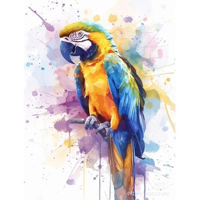 Koh-i-Noor, malowanie po numerach, Papuga, 40-50 cm
