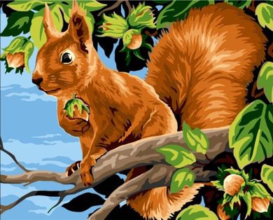 Koh-i-Noor, malowanie po numerach, Wiewiórka z orzechami, 40-50 cm