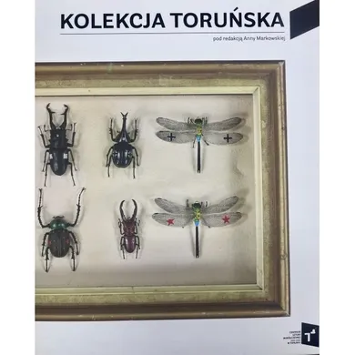 Kolekcja Toruńska. Zbiory Centrum Sztuki Współczesnej Znaki Czasu w Toruniu