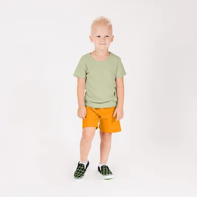 Komplet chłopięcy, Bluzka z krótkim rękawem, Szorty, mix, Nicol