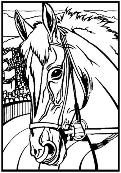 Koń Profil. Kolorowanka welwetowa A4