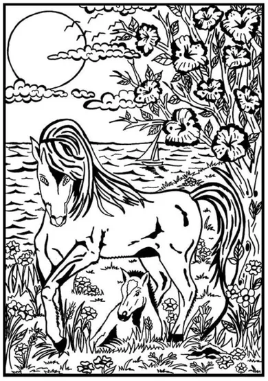 Konie. Kolorowanka welwetowa A4