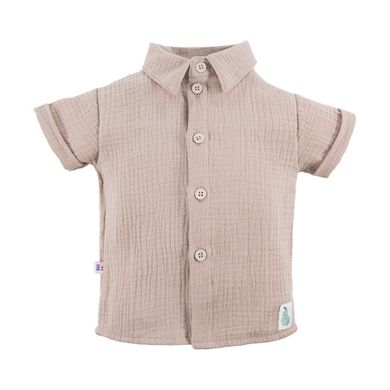 Koszula chłopięca z krótkim rękawem, beżowa, Eevi