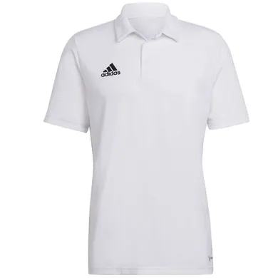 Koszulka polo męska z krótkim rękawem, biała, Adidas Entrada 22 Polo
