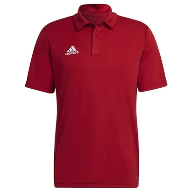 Koszulka polo męska z krótkim rękawem, czerwona, Adidas Entrada 22 Polo