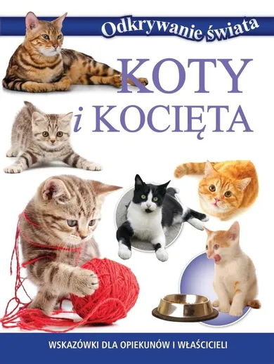 Koty i kocięta. Odkrywanie świata