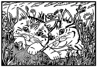 Koty. Kolorowanka welwetowa A4
