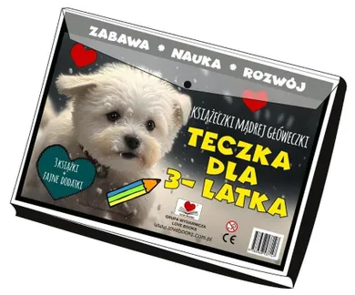 Książeczki Mądrej Główeczki, teczka, 3 książki
