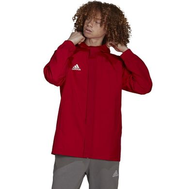 Kurtka męska, czerwona, Adidas Entrada 22 AW Jacket
