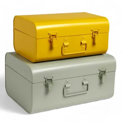 La Factory, The king of the jungle, pudełka dekoracyjne, walizki, 2 szt.