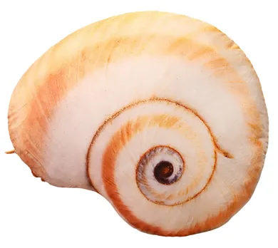 Lean Toys, muszla ślimaka, poduszka maskotka, 50-40 cm