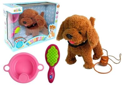 Lean Toys, pudelek, interaktywny piesek na smyczy + akcesoria