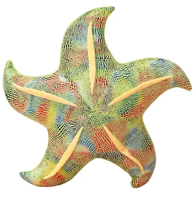 Lean Toys, rozgwiazda, poduszka maskotka, zielona, 20 cm