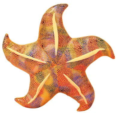 Lean Toys, rozgwiazda, poduszka maskotka, żółta, 20 cm