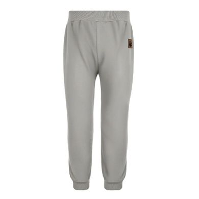 Legginsy chłopięce, szare, Nicol