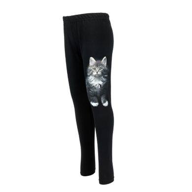 Legginsy dziewczęce, ocieplane, czarne, kot, Tup Tup