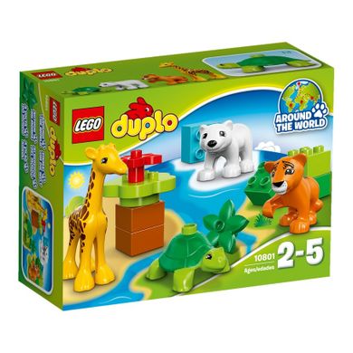 LEGO DUPLO, Zwierzątka, 10801