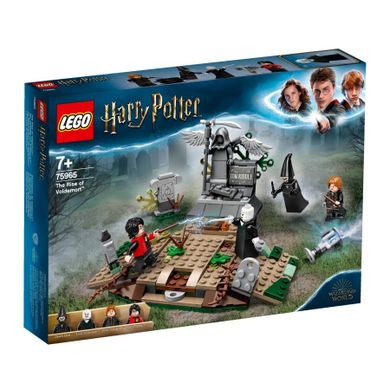 LEGO Harry Potter, Powrót Voldemorta, 75965