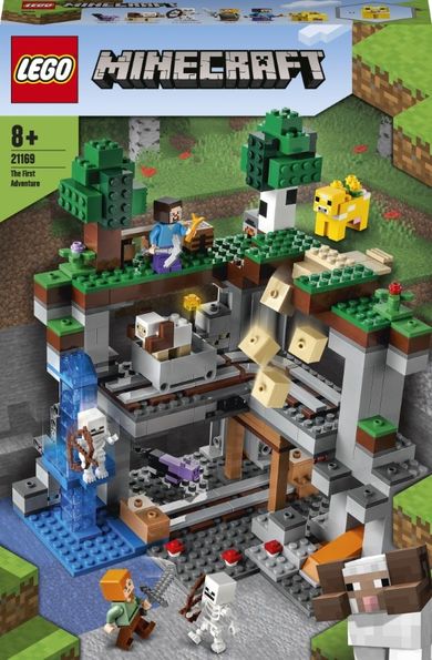 LEGO Minecraft, Pierwsza przygoda, 21169