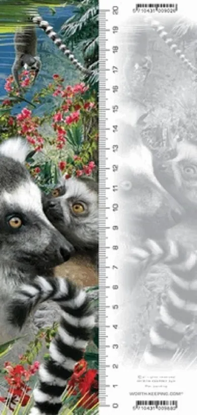 Lemur, zakładka 3D