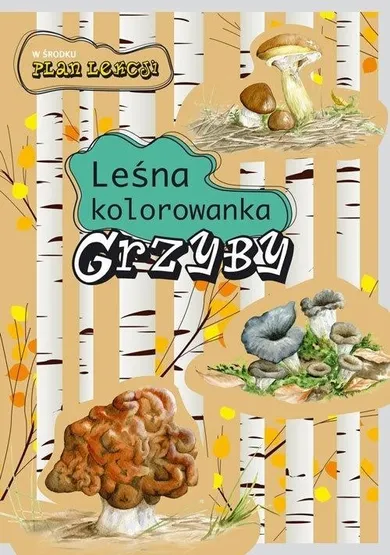 Leśna kolorowanka. Grzyby