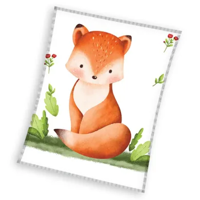 Lis, Coral, koc, 110-140 cm