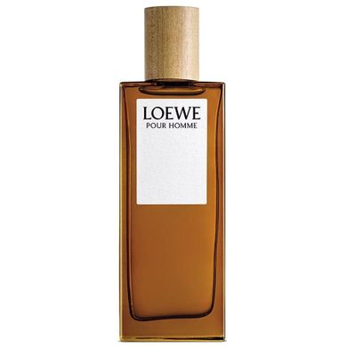 Loewe, Pour Homme, woda toaletowa, spray, 50 ml