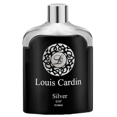 Louis Cardin, Silver Homme, woda perfumowana spray, 100 ml