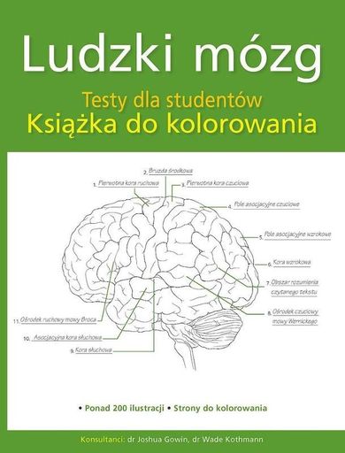 Ludzki mózg. Testy dla studentów. Książka do kolorowania