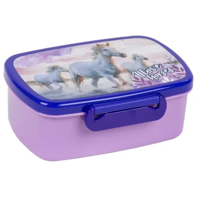 Lunchbox, Konie