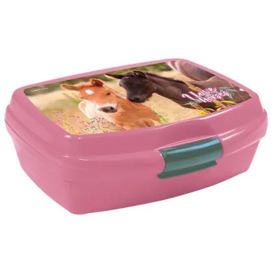 Lunchbox, Love Horses