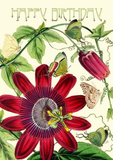 Madame Treacle Karnet B6 Z Brokatem I Kopertą Urodziny Passiflora