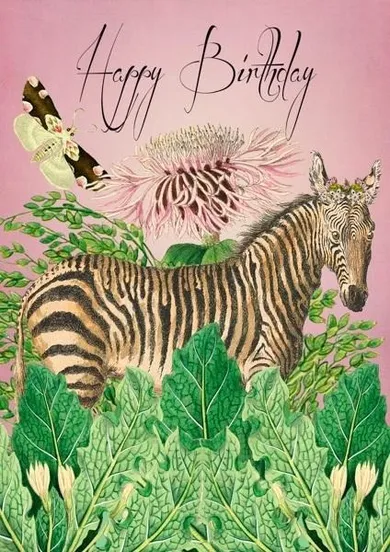 Madame Treacle, karnet B6 z kopertą, Urodziny, Zebra