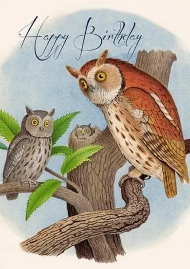 Madame Treacle, karnet urodzinowy z kopertą B6, Sowy