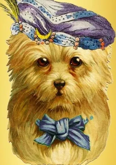 Madame Treacle, karnet z kopertą B6, brokatowy, Piesek wróżka