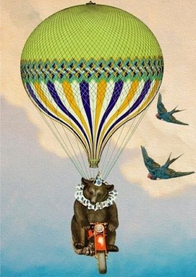 Madame Treacle, karnet z kopertą B6, Cyrkowy miś