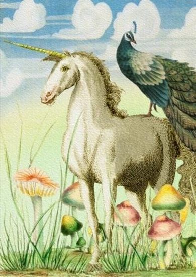 Madame Treacle, karnet z kopertą B6, Jednorożec i paw