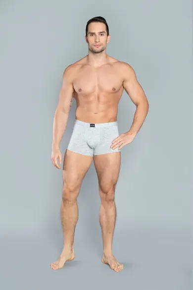 Majtki bokserki męskie, jasnoszare, Apollo, Italian Fashion